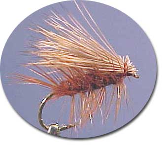 Brown elk hair caddis