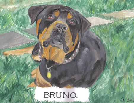 Bruno