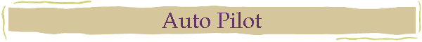 Auto Pilot