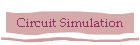 Circuit Simulation