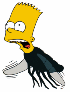 Bart the flie