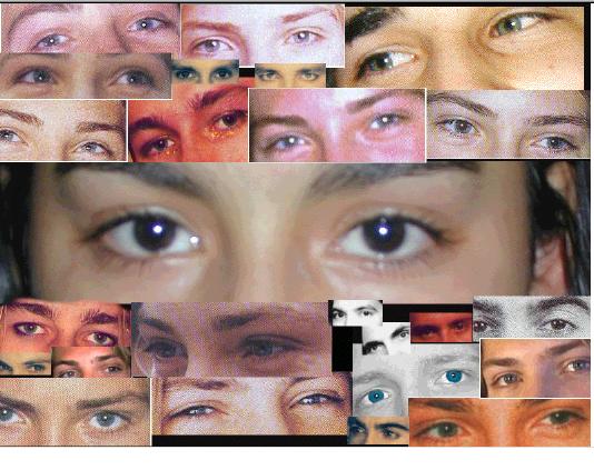 guess who all these eyes belong to! :)