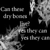 drybones