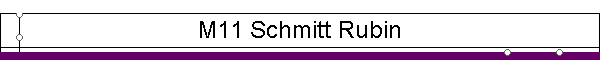M11 Schmitt Rubin