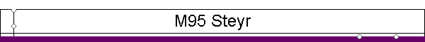 M95 Steyr