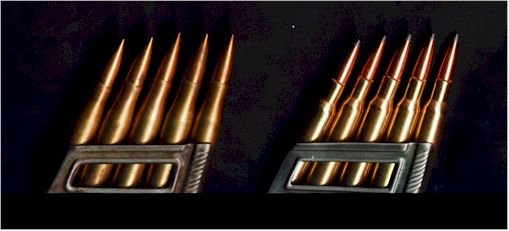 m95 ammo.jpg (23383 bytes)
