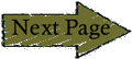 Next Page Please