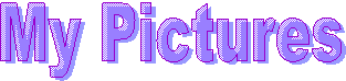 My Pictures