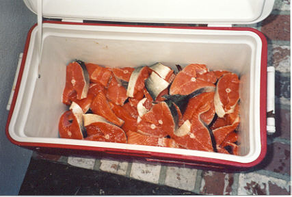 Newport Beach King Salmon