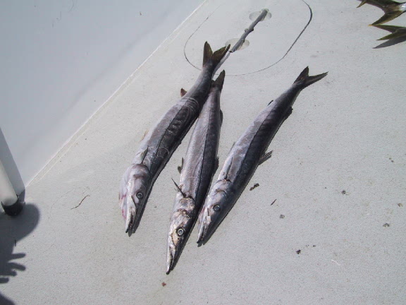 Tracer Fishing June 1, 2003