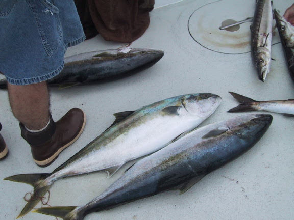 Tracer Fishing June 1, 2003