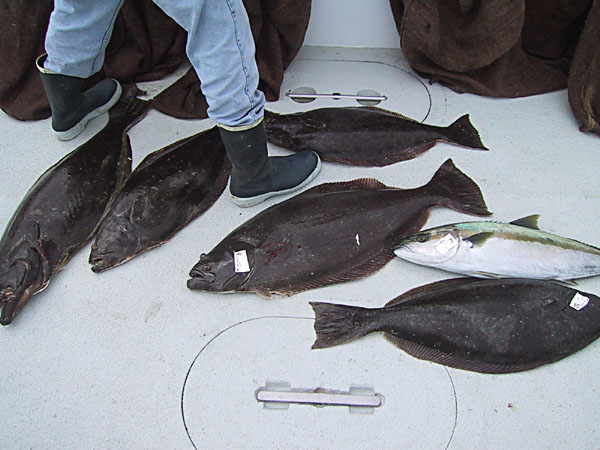 Tracer Fishing June 6, 2004