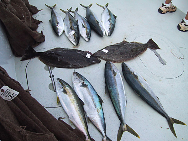 Tracer Fishing June 6, 2004