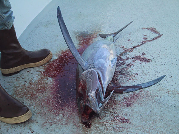 Pacific Queen fishing July 17&18,2004