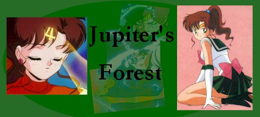 jupiterbanner.jpg (37766 bytes)