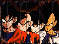 nameksaga.gif (17223 bytes)