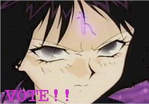 vote.jpg (11682 bytes)