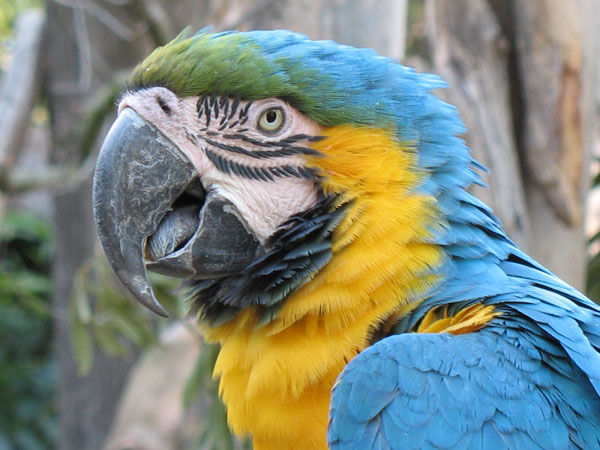 ALL PICTURES were taken by me!!! :)