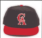 1993-1996 home cap