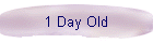 1 Day Old