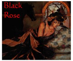 {BLACK ROSE}