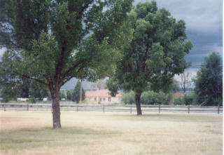 Vacant buildings of the main complex across the street and trees...