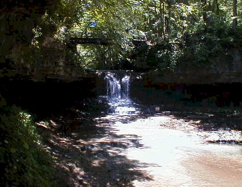 Yellow Springs