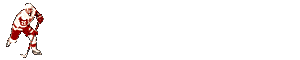 Detroit Red Wings 2002 Stanley Cup Winners