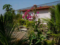 Clinicg2.jpg (98535 bytes)