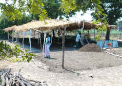 Vermiht2.jpg (126954 bytes)