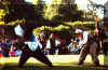 swordfighters4.jpg (95423 bytes)