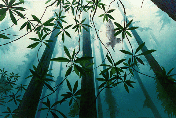 Spirit of the forest