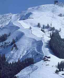 Fleckalm
Telef&eacute;rico al Fleckalm