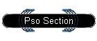 Pso Section