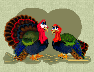 Turkeys