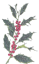 holly
