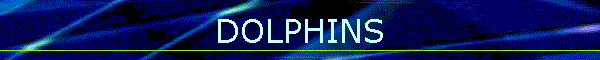 DOLPHINS