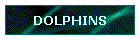 DOLPHINS