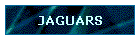 JAGUARS