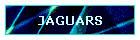 JAGUARS