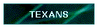 TEXANS