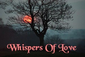 reflectjulie 
                              Lake