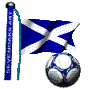 St Andrews Flag