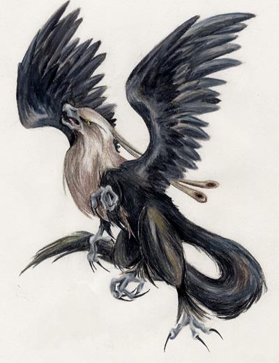 Black Gryphon