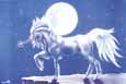 Moonlight Unicorn