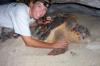 Kim with Loggerhead