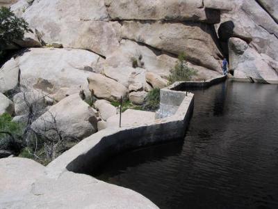 Robin crossing Barker Dam