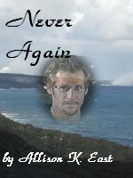 Bookcover for the fic 'Never Again'.