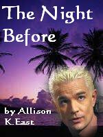 Bookcover for the fic 'The Night Before'.