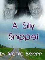 Bookcover for the fic 'Silly Snippet'.